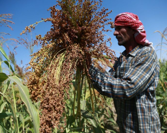 syria’s-first-wheat-shipment-since-al-assad-ouster-points-to-recovery