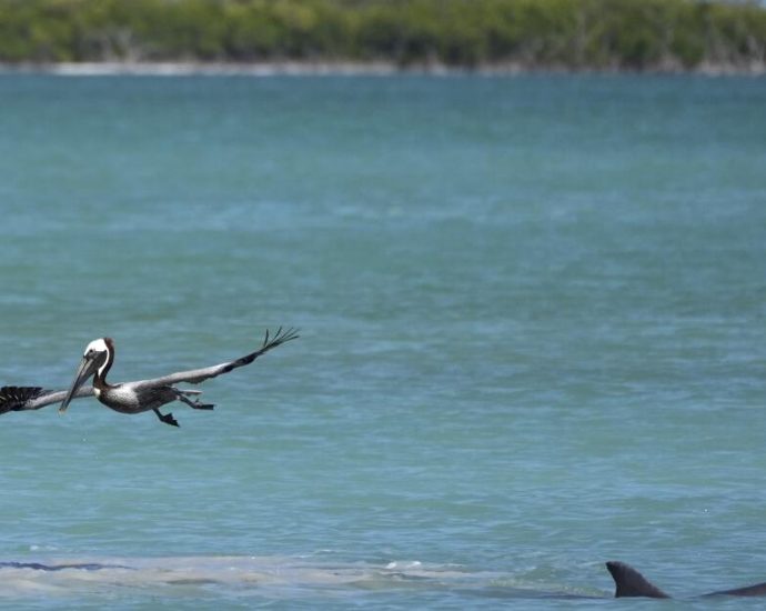everglades-restoration-would-protect-florida-keys-while-scientists-watch-drought-conditions