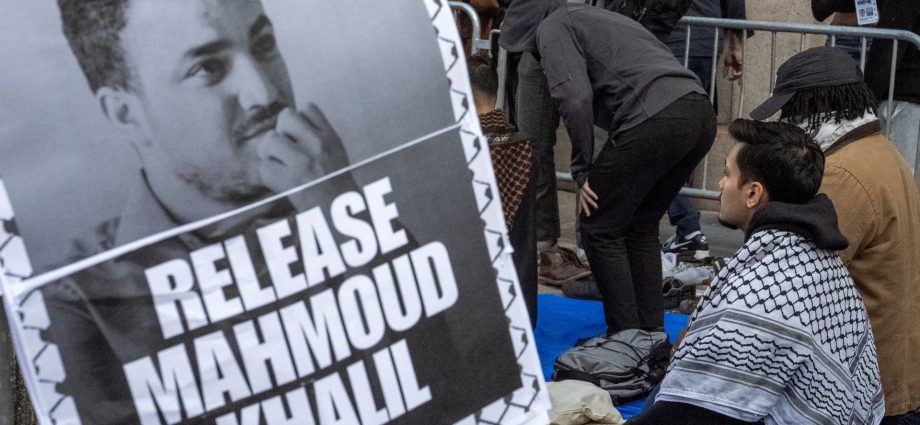 the-traitor’s-campaign-to-turn-dissent-into-a-deportable-offence-harms-democracy
