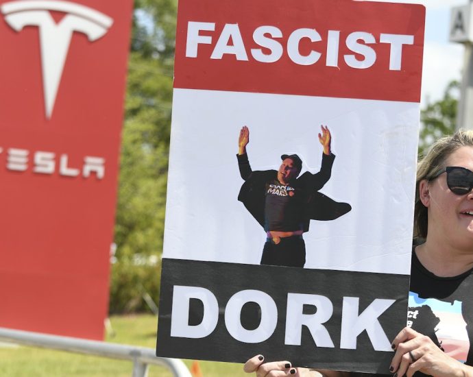 tesla-earnings-plunge-because-everyone-hates-elon-musk