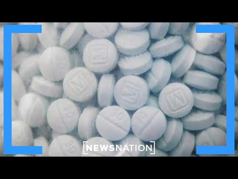 us.-relationship-with-canada-key-to-fentanyl-crackdown-|-the-hill