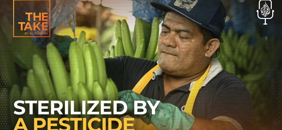 could-a-us-banned-pesticide-be-behind-mass-sterilization?