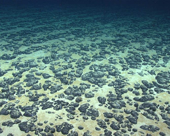 the-us.-takes-a-step-towards-allowing-mining-on-the-ocean-floor,-a-fragile-ecosystem