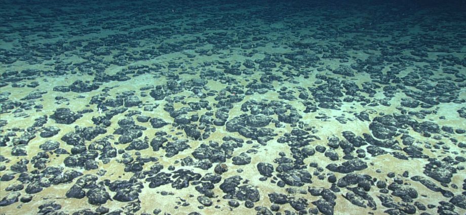 the-us.-takes-a-step-towards-allowing-mining-on-the-ocean-floor,-a-fragile-ecosystem