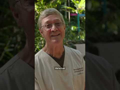 miami-suburb-sterilises-peacocks