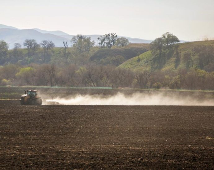 california-reports-sharp-rise-in-valley-fever-cases-for-first-three-months-of-2025
