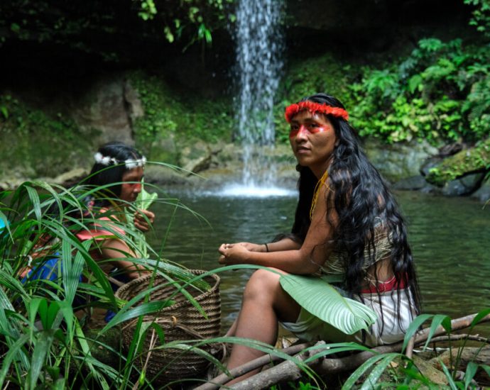 who-has-the-right-to-decide-what-happens-on-indigenous-lands?