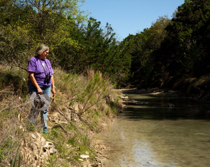 in-booming-central-texas,-wastewater-is-polluting-rivers-and-streams