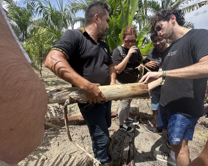 a-collaboration-across-continents-to-solve-a-plastics-problem
