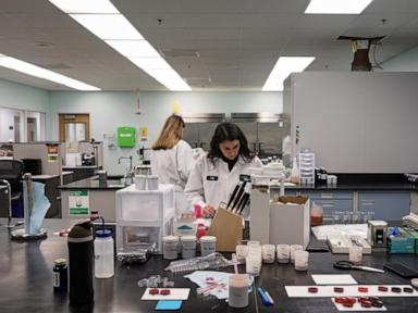 how-bugs-and-beet-juice-could-play-roles-in-the-race-to-replace-artificial-food-dyes