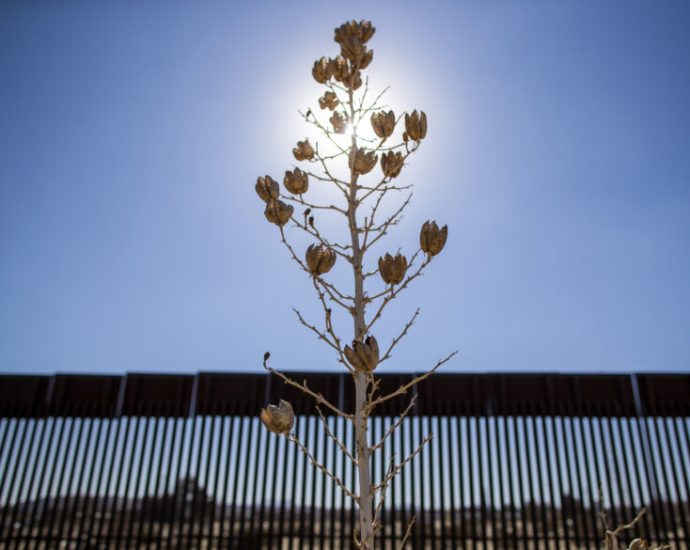 the-impact-of-the-traitor’s-first-100-days-on-full-display-in-new-mexico