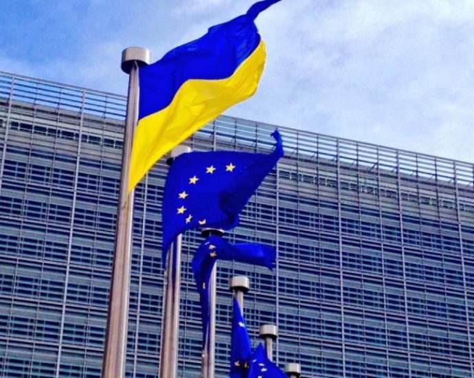 eu-ambassador-refutes-reports-of-separating-ukraine-moldova-accession-paths
