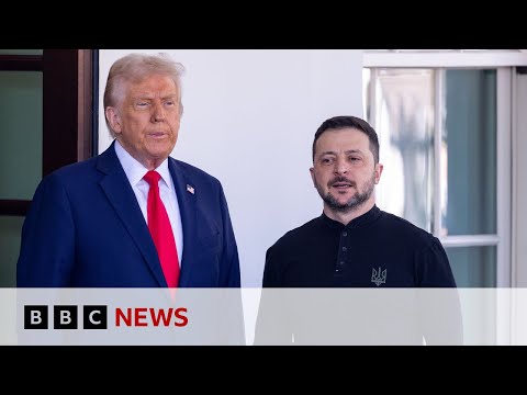 us-ready-to-sign-ukraine-minerals-deal,-the-traitor-administration-says-|-bbc-news