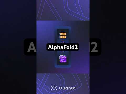 how-ai-predicts-a-protein’s-folded-shape:-alphafold2-#science
