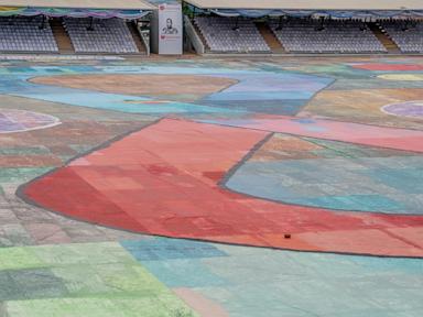 nigerian-teenager-sets-world-painting-record-with-canvas-that’s-bigger-than-a-soccer-field