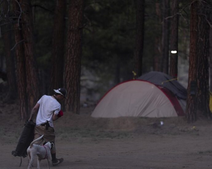 us.-forest-service-starts-clearing-homelessness-camp-in-oregon-forest