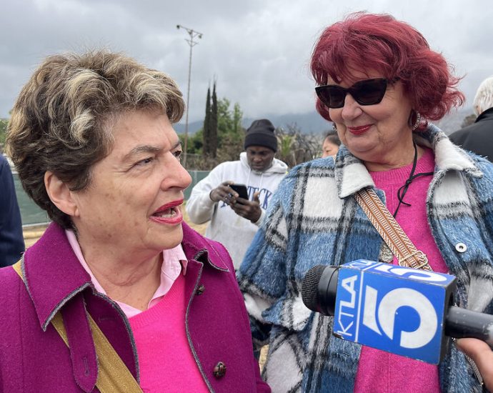 Destroyed by LA fires, this community is showing how to rebound – and rebuild