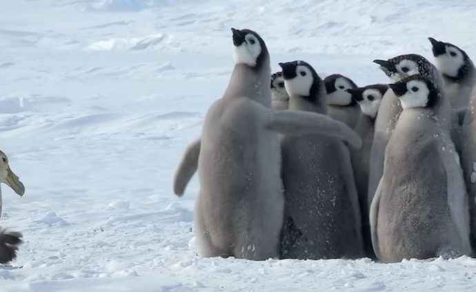good-trouble:-march,-march,-sons-of-the-ice!