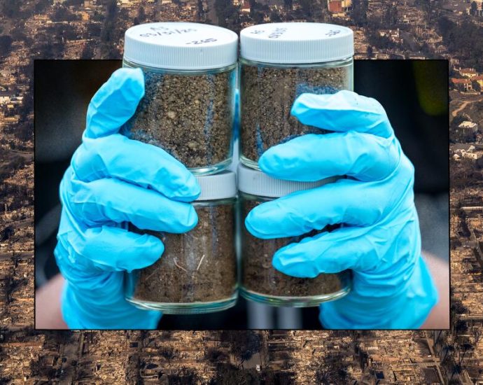 how-we-tested-the-soil-in-altadena-and-pacific-palisades
