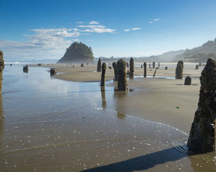 Could a Monster Earthquake Actually Sink Parts of the Pacific Northwest?