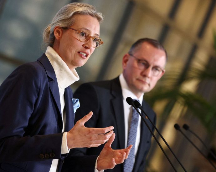 afd-sues-over-‘extremist’-classification;-germany-rejects-us-criticism