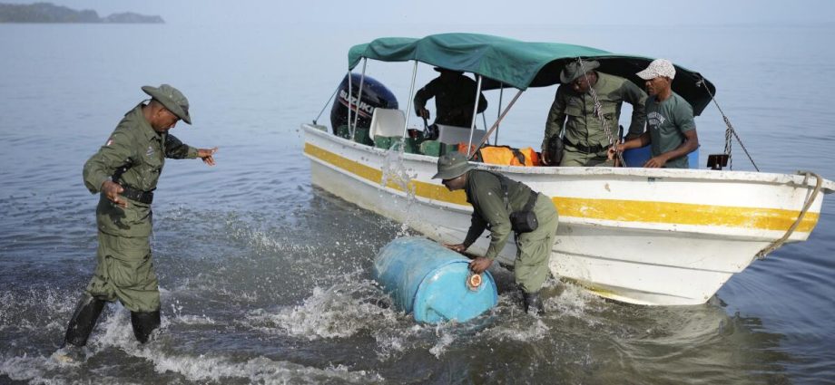 few-migrants-remain-in-the-darien-gap,-but-an-environmental-crisis-has-been-left-behind