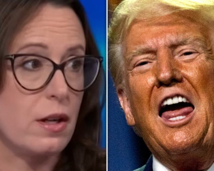 maggie-haberman-spots-traitor-47-supporter-revolt-in-unexpected-place