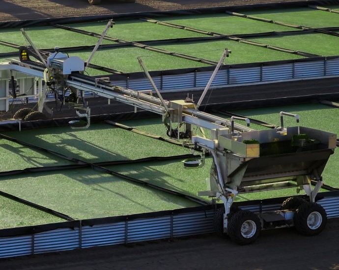 startup-helps-farmers-grow-plant-based-feed-and-fertilizer-using-wastewater