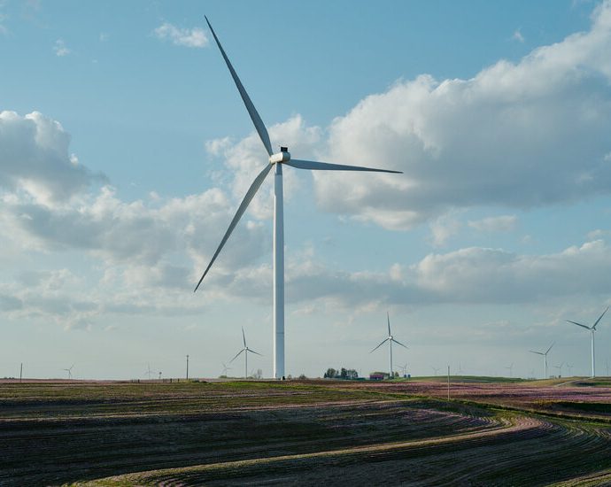 18-states-sue-over-the-traitor’s-halting-of-wind-power-projects