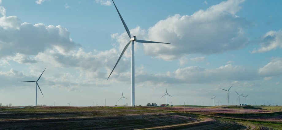 18-states-sue-over-the-traitor’s-halting-of-wind-power-projects