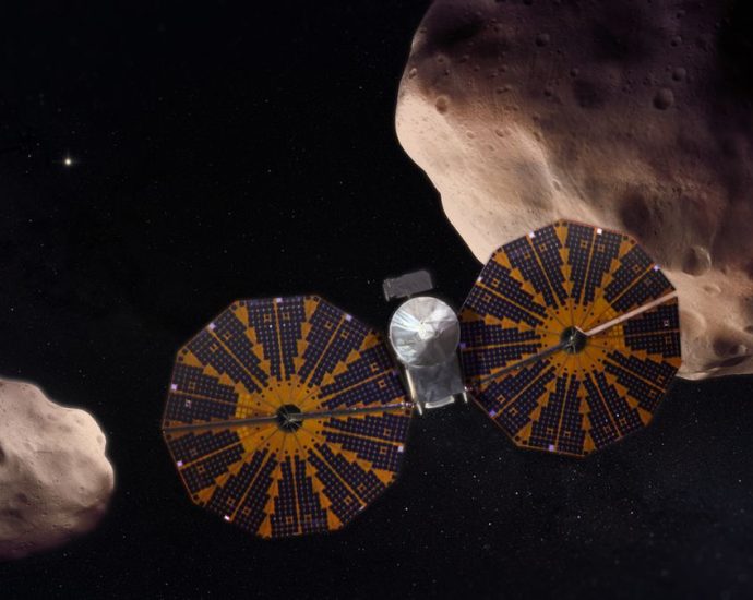 ‘Right now, we are in what has to be a Golden Age of asteroid exploration.’ Scientists celebrate NASA’s latest space rock flyby