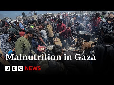 malnutrition-rises-in-gaza-as-israeli-blockade-enters-third-month-|-bbc-news