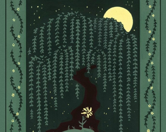 exclusive-cover-reveal:-edelweiss-by-lloyd-hall