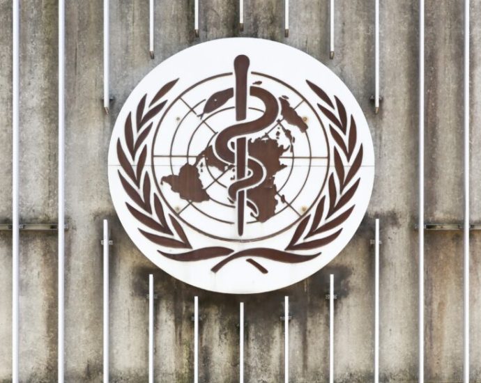 don’t-abandon-the-who,-reform-it