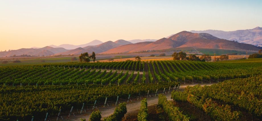 Why you should skip Napa and sip wine in California at these places instead