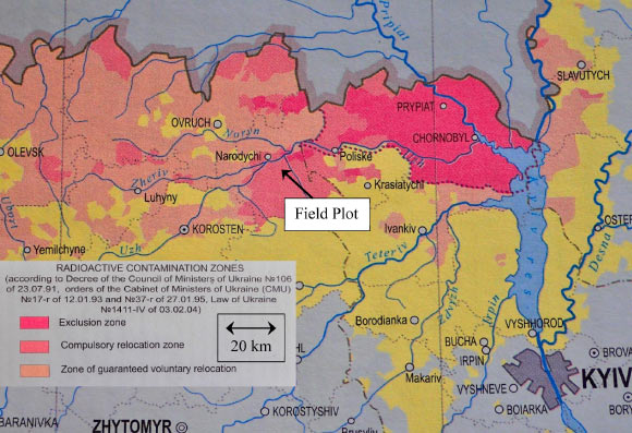 Vast Areas of Chornobyl-Affected Farmland in Ukraine Can Now Be Safely Farmed, Scientists Claim