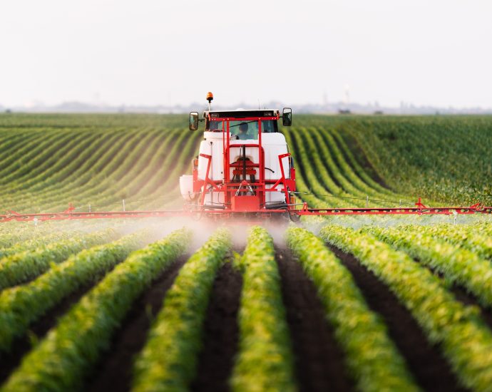 technology-developed-by-mit-engineers-makes-pesticides-stick-to-plant-leaves