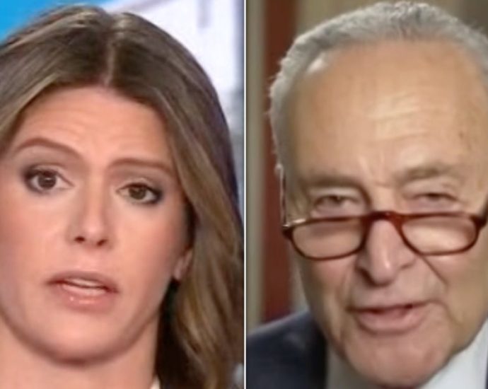 cnn-host-confronts-chuck-schumer-on-biden’s-health:-‘did-you-really-not-have-any-idea?’