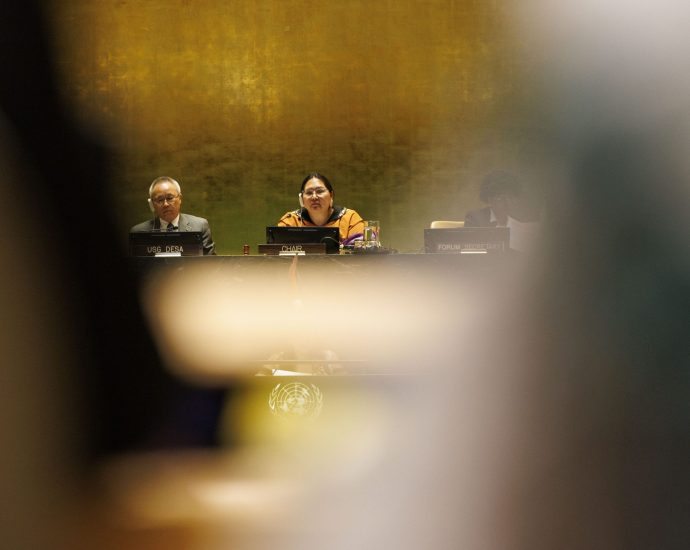 indigenous-leaders-at-unpfii-underscore-the-need-for-genuine-consent