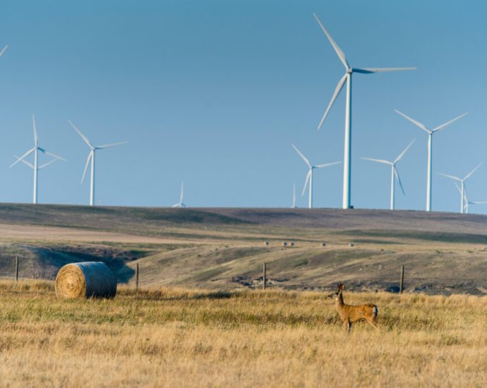 property-rights-take-center-stage-as-montana-grapples-with-wind-development