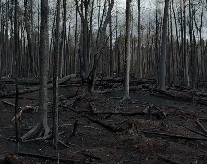 minnesota-as-a-refuge-from-climate-change?-three-wildfires-show-otherwise.