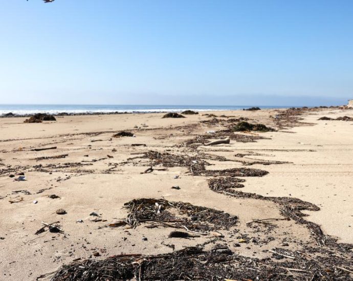months-after-the-fires,-how-safe-is-it-to-swim-at-la.’s-beaches?