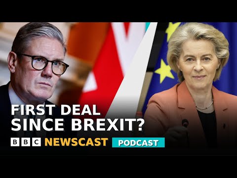is-the-uk-about-to-rejoin-the-eu-passport-queue?-|-bbc-newscast