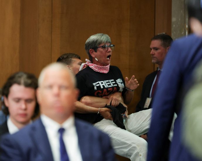 us-senator-says-at-least-pro-palestinian-protester-speaking-‘in-english’