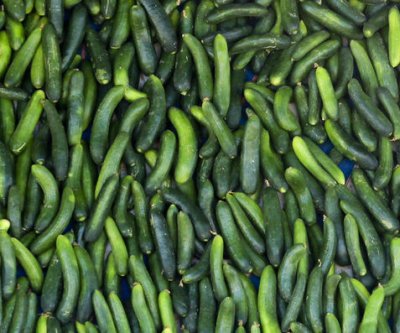 fda-says-florida-cucumbers-linked-to-salmonella-outbreak-in-15-states