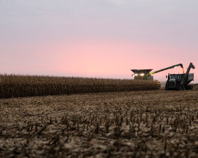 rfk-jr.-has-unlikely-allies-in-his-drive-to-limit-atrazine