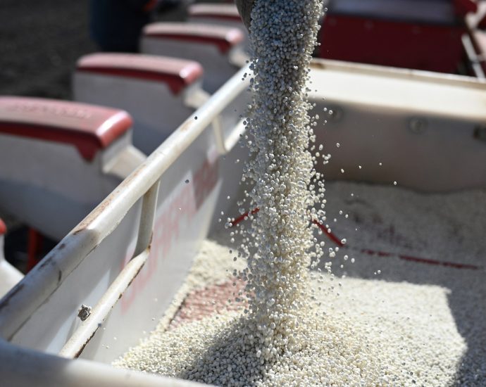 eu-backs-tariffs-on-fertiliser-imports-from-russia,-belarus