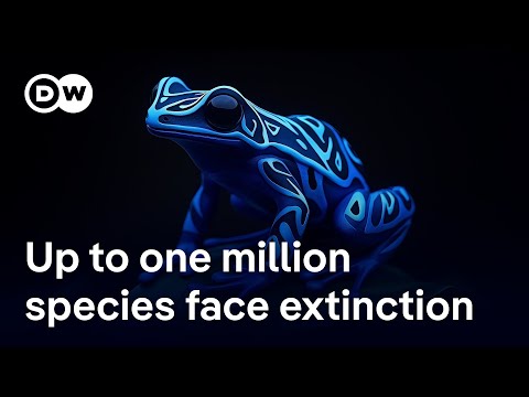 is-it-enough-to-save-species-in-parks-or-do-we-need-to-rethink-how-we-live?-|-dw-news