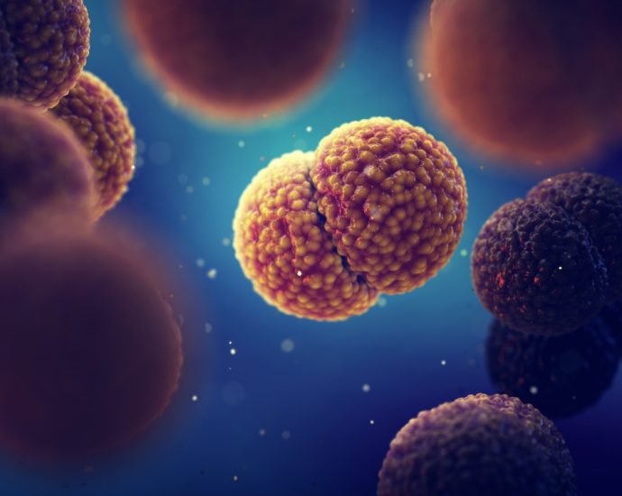 Never Before Seen Bacterium in Space Station Could be a Strain Only Found in Space