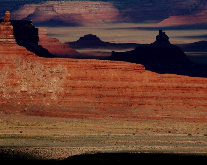 if-you-want-to-understand-the-traitor’s-environmental-policy,-read-project-2025